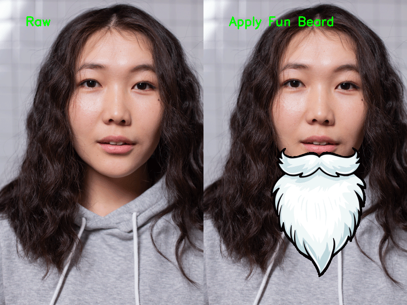 Virtual Makeup - Fun Beard