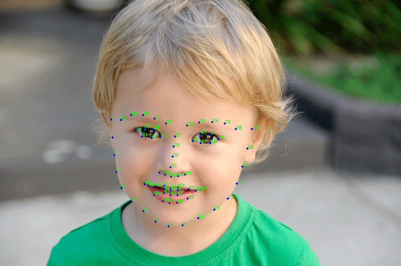 68-point Facial Landmark Detector Sample Output