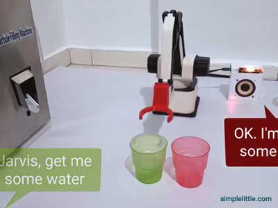 Voice Assistant and Robotics